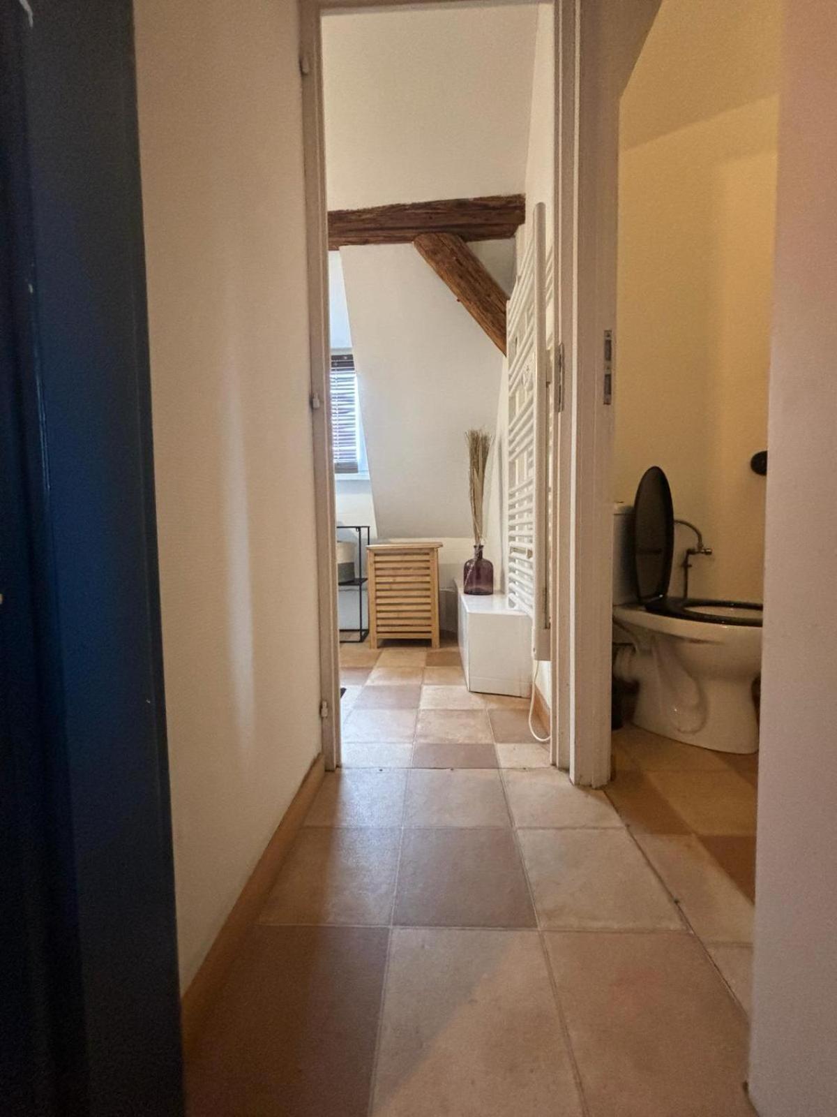 Charmant Appartement Proche Strasbourg A Eckwersheim Esterno foto