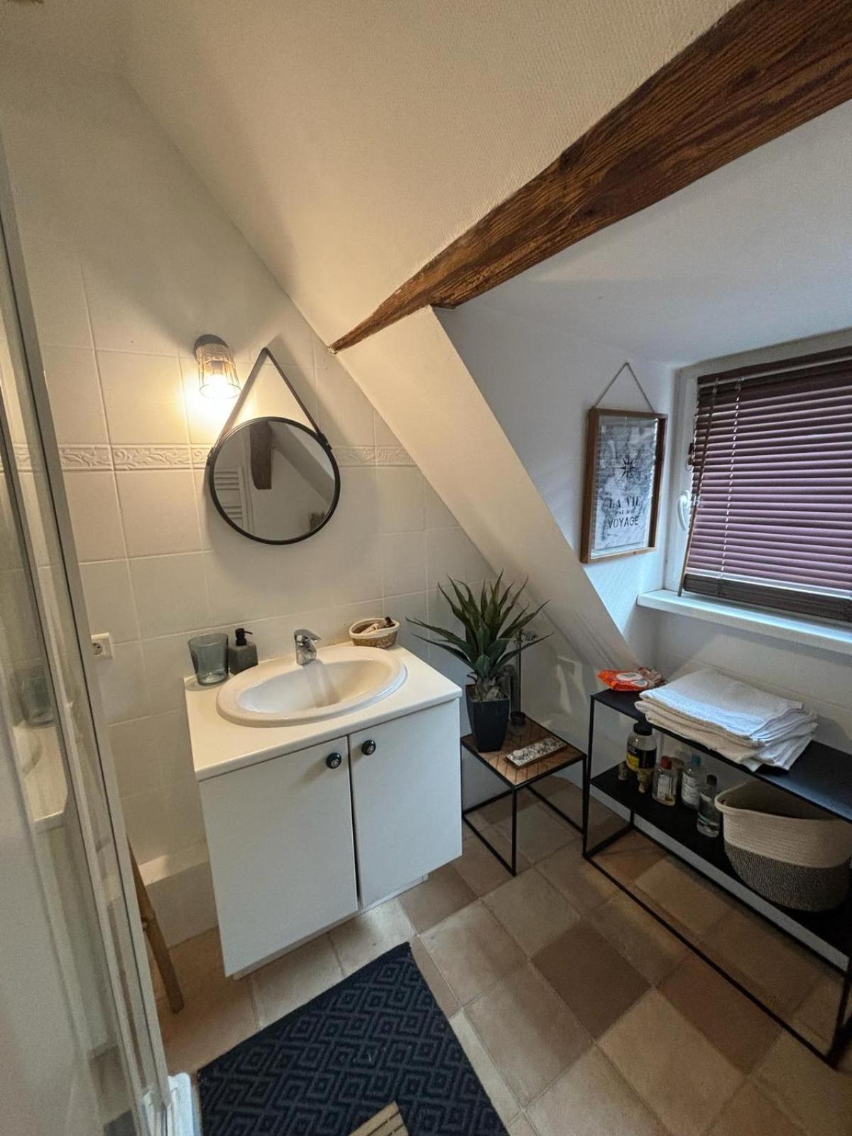 Charmant Appartement Proche Strasbourg A Eckwersheim Esterno foto