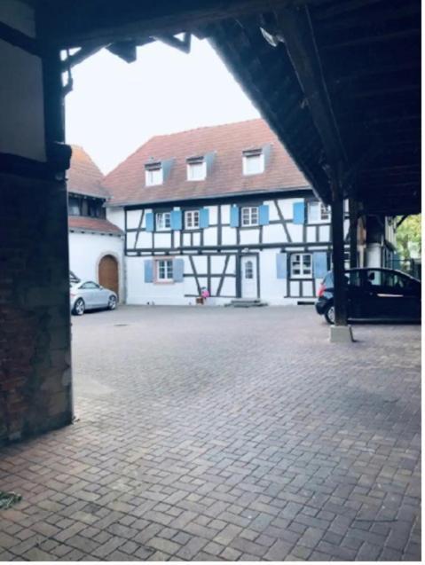 Charmant Appartement Proche Strasbourg A Eckwersheim Esterno foto